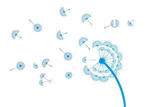 攜手長春網站建設，打造企業專屬的數字化門戶